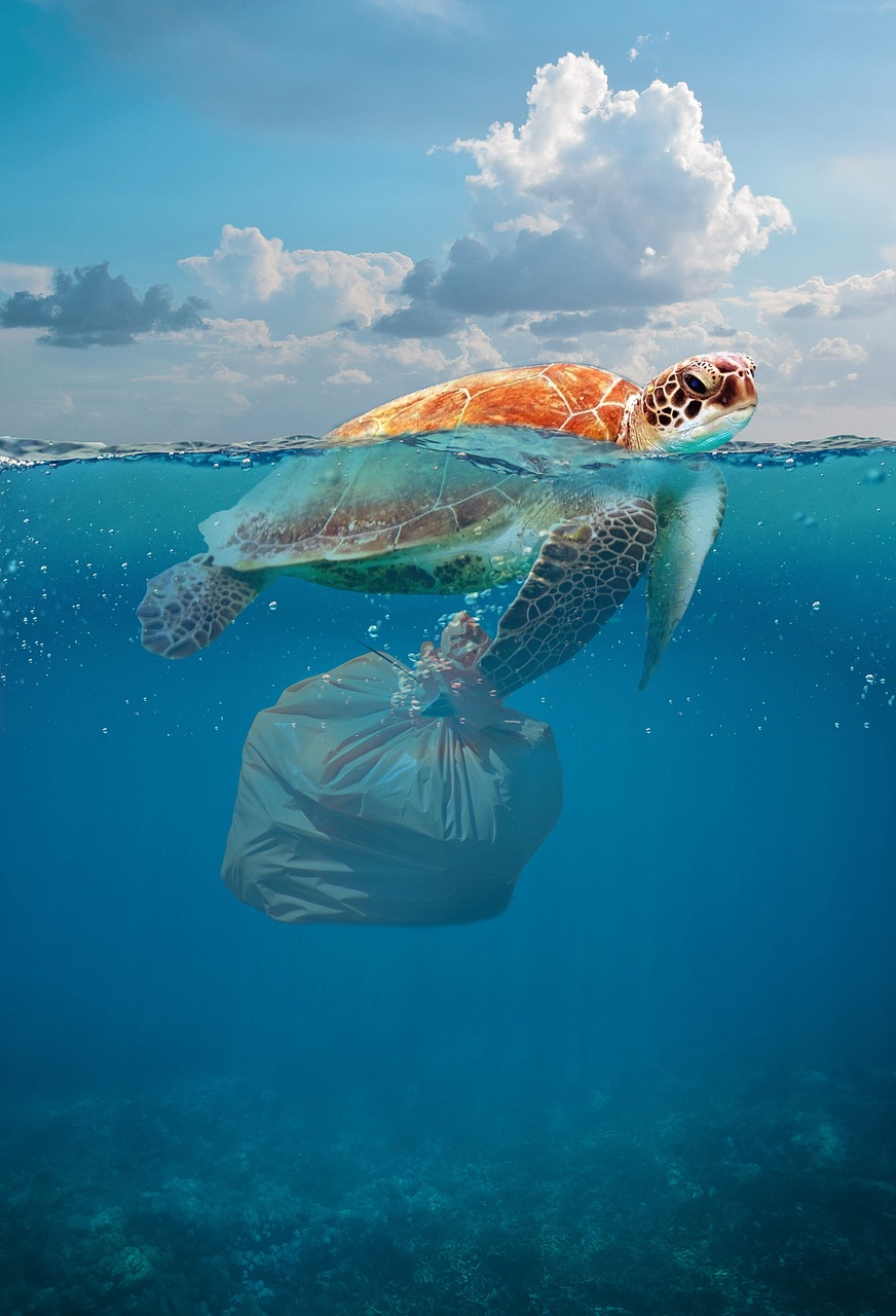 Plastic Pollution: The Devastating Impact on the Environment